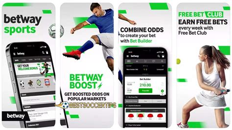 nm bookmaker|New Mexico Betting Guide 2024 .